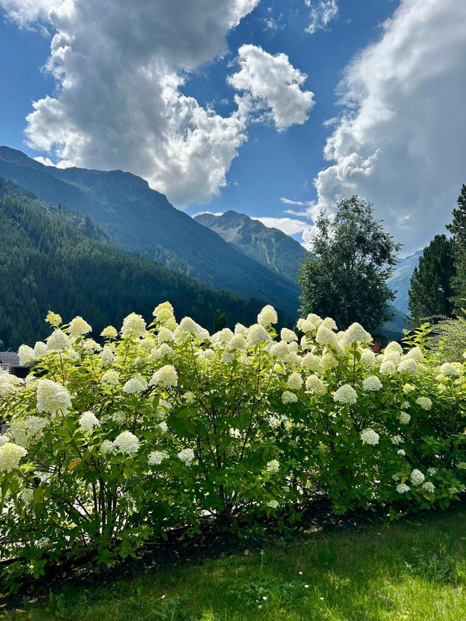 Ferienwohnung Wald Wald im Pinzgau Kültér fotó